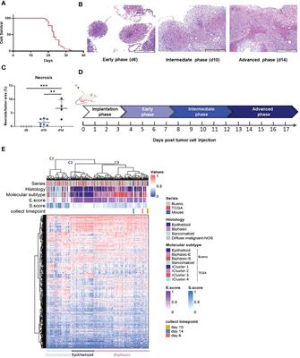 Frontiers Deep dive into the immune response against murine